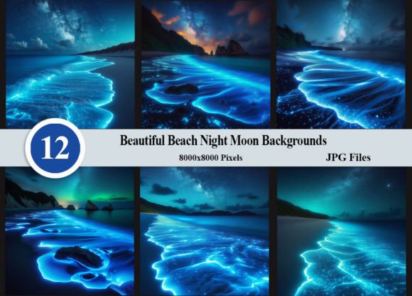 Enchanting Beach Night Moon Backgrounds for Digital Creators